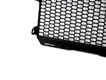 GRIGLIA RADIATORE YAMAHA MT 07 2025